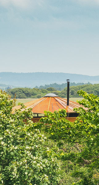 Top of Caban with chimney peeking over green foliage with a view of mainland hills in the background