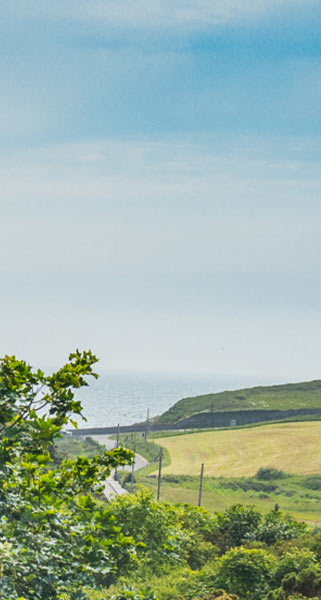 View from Yurt pitch of the sea and valley leading down to Porth Dafarch beach